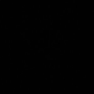 Meet your Posher, Tiana